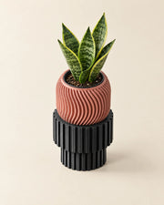 Slat Pedestal Display Stand – styled in use