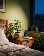 Slim Rib Planter – at night on a bedside table