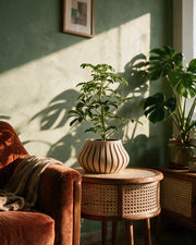 Slim Rib Planter – on a side table at golden hour