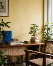 Slim Rib Planter – styled on a console