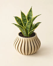 Slim Rib Planter – styled in use