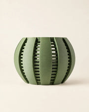 Slot Band Orchid Planter – front view