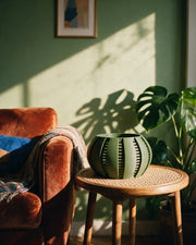 Slot Band Orchid Planter – on a side table at golden hour