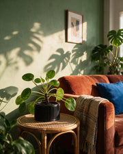 Slot Cage Planter – on a side table at golden hour