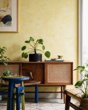 Slot Cage Planter – styled on a console