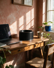 Slot Cage Planter – on a work desk in morning sun