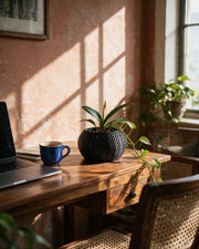 Slot Drum Orchid Planter – on a work desk in morning sun