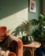 Slot Fin Planter – on a side table at golden hour