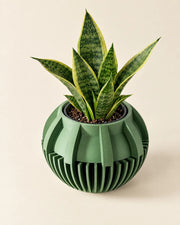 Slot Fin Planter – styled in use