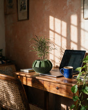 Slot Fin Planter – on a work desk in morning sun