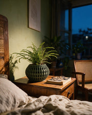 Slot Globe Planter – at night on a bedside table