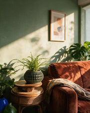 Slot Globe Planter – on a side table at golden hour