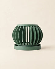 Slot Sphere Orchid Planter – front view