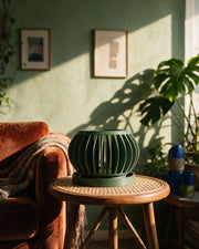 Slot Sphere Orchid Planter – on a side table at golden hour