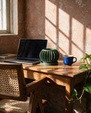 Slot Sphere Orchid Planter – on a work desk in morning sun