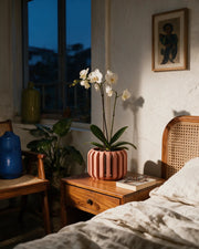 Slotted Block Orchid Planter – at night on a bedside table