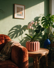 Slotted Block Orchid Planter – on a side table at golden hour