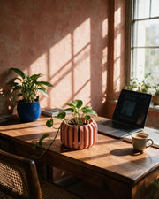 Slotted Block Orchid Planter – on a work desk in morning sun