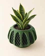 Spiral Cage Planter – styled in use