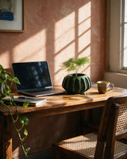 Spiral Cage Planter – on a work desk in morning sun