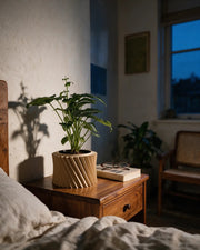 Spiral Rib Planter – at night on a bedside table
