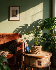 Spiral Rib Planter – on a side table at golden hour