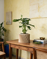 Spiral Rib Planter – styled on a console