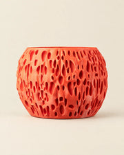 Sponge Pore Planter – front view