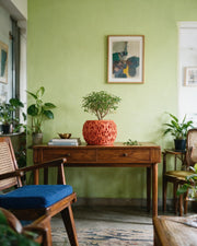 Sponge Pore Planter – styled on a console