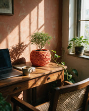 Sponge Pore Planter – on a work desk in morning sun