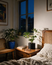 Stacked Rib Planter – at night on a bedside table
