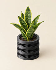 Stacked Rib Planter – styled in use