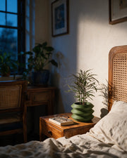 Stacked Ring Planter – at night on a bedside table