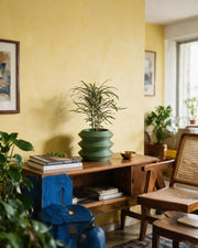 Stacked Ring Planter – styled on a console