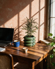 Stacked Ring Planter – on a work desk in morning sun