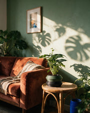 Stepped Rim Planter – on a side table at golden hour