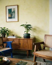Stepped Rim Planter – styled on a console
