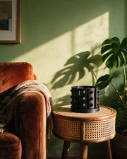 Stud Slot Orchid Planter – on a side table at golden hour
