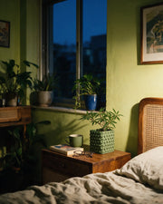 Studded Square Planter – at night on a bedside table