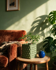 Studded Square Planter – on a side table at golden hour