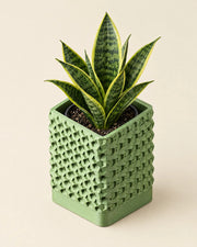 Studded Square Planter – styled in use