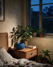 Sunburst Bowl Planter – at night on a bedside table