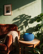 Sunburst Bowl Planter – on a side table at golden hour