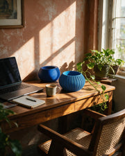 Sunburst Bowl Planter – on a work desk in morning sun