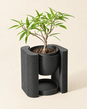 Suspended Frame Planter – three-quarter studio view