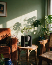 Suspended Frame Planter – on a side table at golden hour