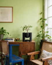Suspended Frame Planter – styled on a console