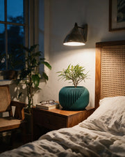 Sweep Fin Planter – at night on a bedside table