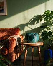 Sweep Fin Planter – on a side table at golden hour