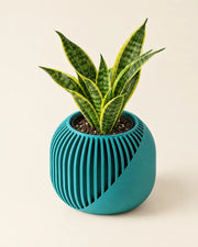 Sweep Fin Planter – styled in use